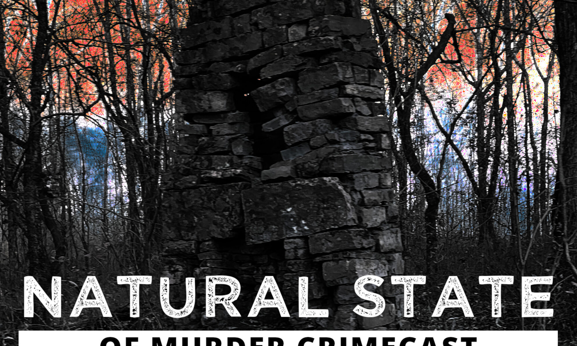 Natural State of Murder Crimecast